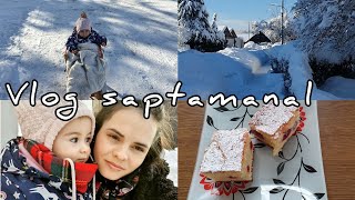 Vlog saptamanal☃️Multa zapada  pandispan cu visine🍰 vlog [upl. by Gilchrist310]