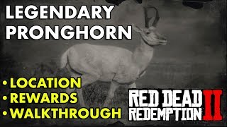 Red Dead Redemption 2  Legendary Pronghorn Location Rewards Walkthrough [upl. by Mehalick]