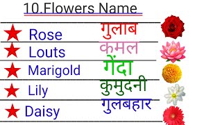 10Flowers name। English and hindi me।10 फुल का नाम। Target study। [upl. by Elleiram]