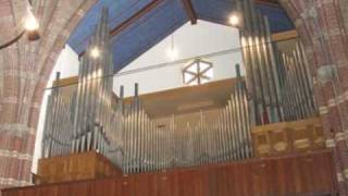 Orgel st Antonius Dordrecht uitproberen [upl. by Ardnahs]