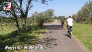 Cycling through the dunes to the beach Netherlands 278 [upl. by Assirak]