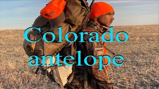 Colorado Antelope Hunt [upl. by Assecnirp]