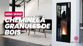 Cheminée à Granulés de Bois Verticale MINI WIND  Bestove [upl. by Marlow]