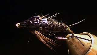 BG Stonefly nymph fly tying instructions by Ruben Martin [upl. by Jillie403]