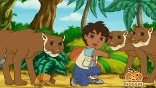 Go Diego Go S01E08 Armadillos Rainforest Race P2 [upl. by Kristine]