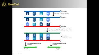 Expressed Sequence Tag [upl. by Lemart]