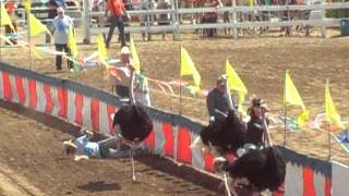 52nd Annual Camel Races Virginia City 91111 [upl. by Ugo]