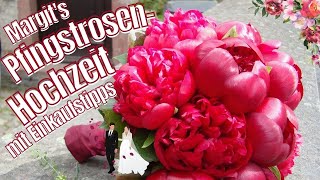 Unsere PfingstrosenHochzeit und wo du die schönsten Pfingstrosen bestellen kannst Neues von Margit [upl. by Kori]