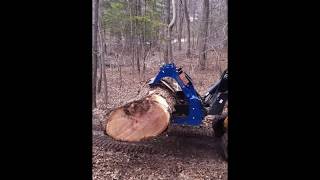 Logging with the Best Skid Steer Grapple and 260 JCB [upl. by Lombardy]