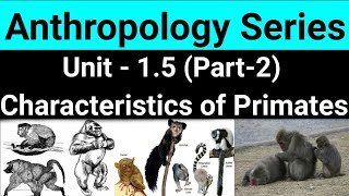 Characteristics of sub orders Primate Adaptations Primate Behaviour  Anthropology Series Task IAS [upl. by Missie]