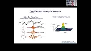 Timefrequency analysis and wavelets [upl. by Anatole]