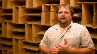 The Anechoic Chamber at Paradigm Acoustics [upl. by Braswell]