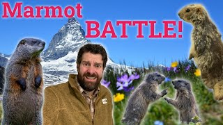 Marmot Trestles Elite Eco Sleeping Bags  Gear Review [upl. by Atinuhs275]