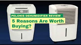 Pelonis Dehumidifier Review 5 Reasons Are Worth Buying [upl. by Files]