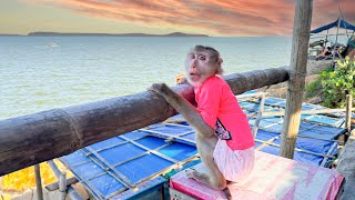 Monkey Kaka and Dads Journey to a Beautiful Place by the Sea [upl. by Karol]