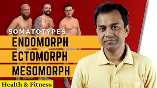 Somatotypes Endomorph Ectomorph and Mesomorph [upl. by Aneloj]