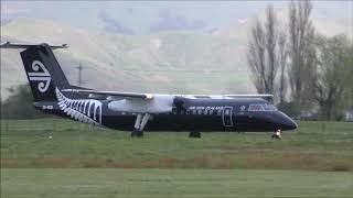 AIR NEW ZEALAND ALL BLACK Dash 8 Q300 Landing Gisborne Airport [upl. by Conyers]