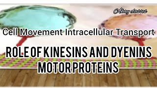 Role of Kinesins and Dyenins  Cell movement Intracellular Transport  Cell and molecular biology [upl. by Christa43]