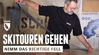 Tourengehen die richtigen Felle auswählen [upl. by Zolner]