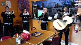 Mariachi Nuevo Guadalajara  Orlando FL Tel 4078601136 [upl. by Nilok]