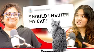 Changes in Cats After Neutering  With Dr Michelle Simones and Amanda Tong [upl. by Uhn874]