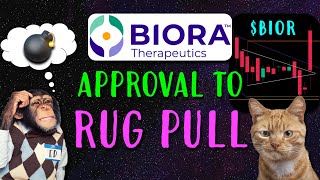 Biora Therapeutics Stock Approval to Rug Pull [upl. by Anni426]