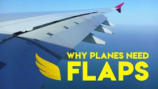 Why Do Planes Have Flaps  Fly Anatomy [upl. by Dorsey206]