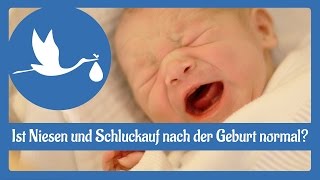 Nach der Geburt Ist Niesen und Schluckauf nach der Geburt normal [upl. by Ihcalam]