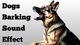 Dog Barking Loudly Sound Effect [upl. by Busby]