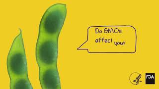 Do GMOs Affect Your Health [upl. by Carrew896]