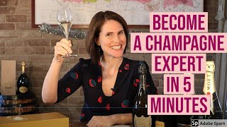 Understanding Champagne in 5 minutes or less [upl. by Anerat]