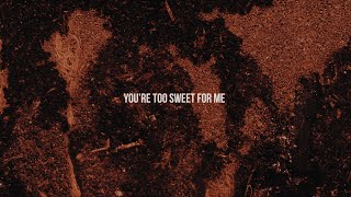 Hozier  Too Sweet Official Lyric Video [upl. by Chilton269]