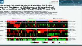 Functionalizing the Cancer Genome  Lynda Chin [upl. by Noemi]