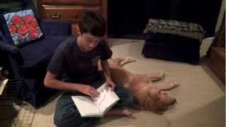 Dyslexic Tips Reading to Your Dog [upl. by Helali]