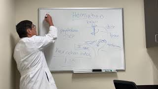 Brain herniation syndromes [upl. by Manuela712]