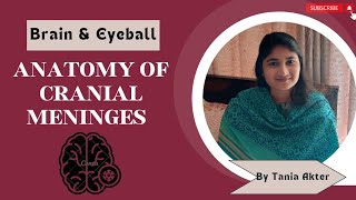 Anatomy of Cranial Meninges  Bangla Demonstration of Cranial Meninges  Viscera of Meninges [upl. by Nereids818]