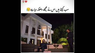 Jaan nisar episode 59 amp 60 amp 61  best scene  jaannisar trending shorts youtubeshorts short [upl. by Waldos]