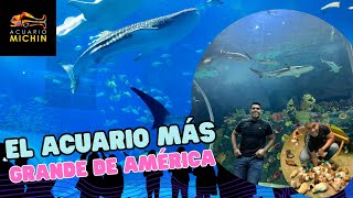 ACUARIO MICHIN EN CDMX EL MÁS GRANDE DE AMÉRICA [upl. by Seena374]