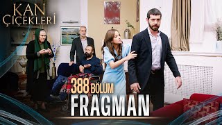 Kan Çiçekleri 388 Bölüm Tanıtımı [upl. by Llyrat105]