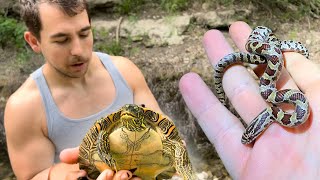 Can we find SNAKES in Oklahoma Midwest Herping Expedition [upl. by Zacharias]