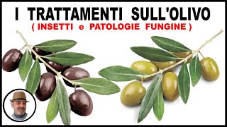 TRATTAMENTI DELLOLIVO sia contro le patologie fungine sia contro gli insetti [upl. by Skippie]