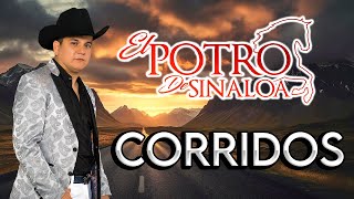 El Potro De Sinaloa  Puros Corridos Perrones Con Banda Album Completo [upl. by Ettecul]