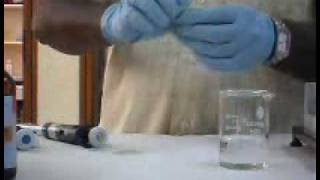 Poly Acrylamide Gel Electrophoresis method [upl. by Ynohtna]