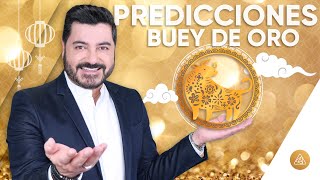 PREDICCIONES 2021 · AÑO DEL BUEY DE ORO 🐃  ALFONSO LEÓN ARQUITECTO DE SUEÑOS [upl. by Lamek]