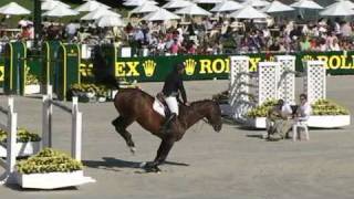 SOLD Misteur by Royal Feu 10 years old  Stallion [upl. by Pack]