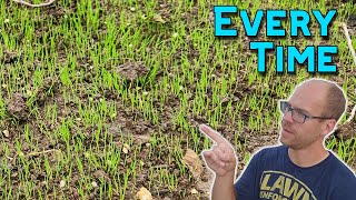 How To Grow Grass From Seed  Complete Guide [upl. by Inalak]