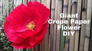 Pretty Giant Crepe Paper Flower DIY [upl. by Alaunnoif]