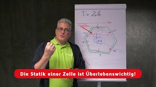 Die Statik der Zelle  Die 9 Bedingungen der physiologischen Zellfunktionen Teil 7 [upl. by Eisserc799]