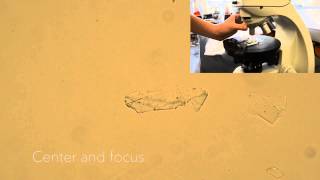 Earth Optics Video 1 Plane Polarized Light [upl. by Eenhat]