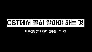 CST에서 필히 알아야 하는 것 미주신경과 친구들 2 [upl. by Kindig]